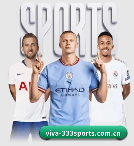viva-333sports.com.cn围绕看球场景设计的核心服务