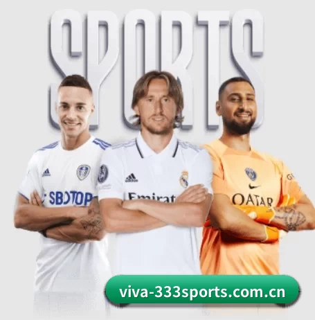viva-333sports.com.cn的方向 - 长期内容价值积累